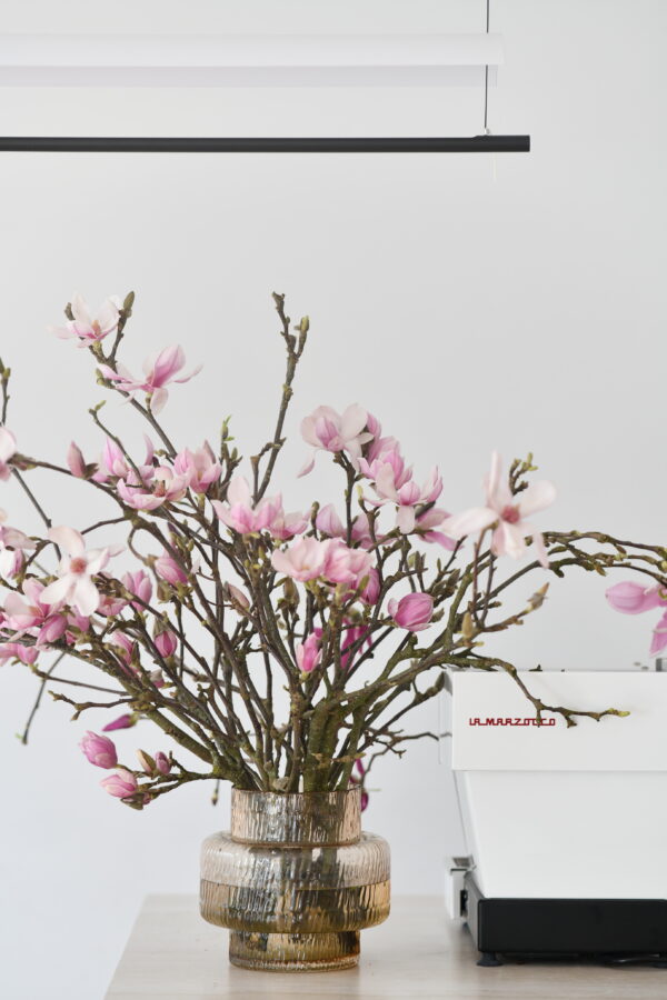 Magnolie（5 Zweig）